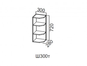 Ш300т/720 Шкаф навесной 300/720 (торцевой) в Лангепасе - langepas.magazin-mebel74.ru | фото