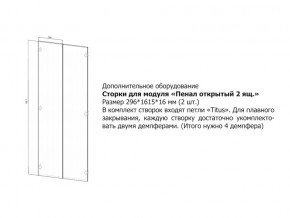 Створки для Пенал открытый в Лангепасе - langepas.magazin-mebel74.ru | фото